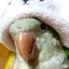 画像 アルムの部屋 小鳥たちとアルムおんじのユーザープロフィール画像