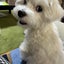 のりまきのサムネイル