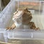 あーる(almo012)のサムネイル