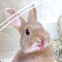 みかっちょのプロフィール
