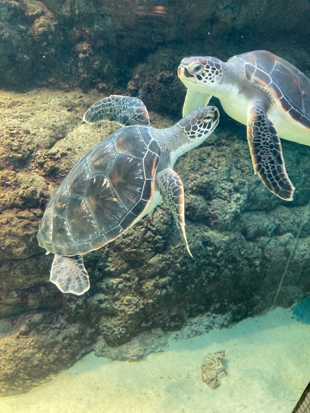 海釣り大好きさんのプロフィールページ