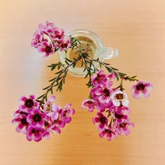 toushihappy24のプロフィール