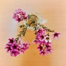 toushihappy24のプロフィール