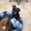 だーたのブログのサムネイル