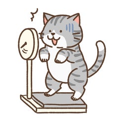 nekkoのプロフィール