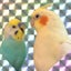 リロルルのサムネイル