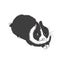 rakutenofhopeのサムネイル
