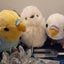 ひだまりのサムネイル