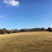rakoのおすすめのサムネイル