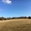 rakoのサムネイル