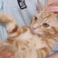 kai33catのサムネイル
