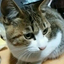 satotadanoriのサムネイル