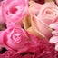 画像 花咲実-はなえみ-花咲いて実りある人生となりますようにのユーザープロフィール画像