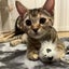 チーmamaのサムネイル