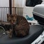 今日もぼちぼちのサムネイル