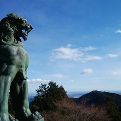tekoのプロフィール
