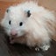 everydayinthekitchenのサムネイル