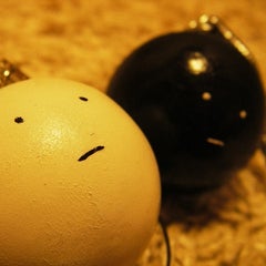 白黒のプロフィール