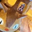 ponoのサムネイル