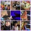 画像 西白河郡矢吹町のピアノ教室古川音楽教室♪ブログのユーザープロフィール画像
