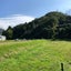 野良仕事日記のサムネイル
