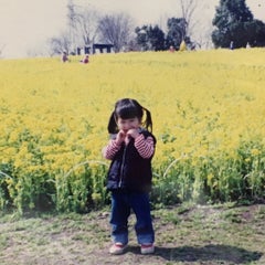 イリコちゃんのプロフィール