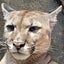 MT81のサムネイル