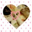 画像 tyatya-piecoと保護猫達の毎日のユーザープロフィール画像
