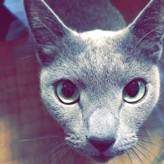 ユキミンナのプロフィール