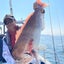 画像 福岡で船釣り紀行&徒然なるままにのユーザープロフィール画像