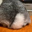 みぜっとのサムネイル