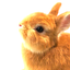 Sunnyのサムネイル