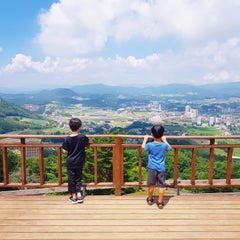 韓国に住んでいる旅行が好きな男3人と女1人の家族のプロフィール