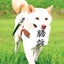悟空零一のサムネイル