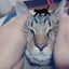 画像 愛しの 猫さまのユーザープロフィール画像