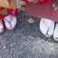 つぶやき主婦のサムネイル