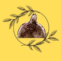 れいのプロフィール