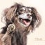 きよみ★True Dogsのサムネイル