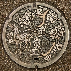 nara-2021のプロフィール