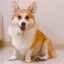 りーのサムネイル