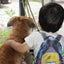 ちいママのサムネイル