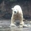 サムのサムネイル