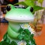 あまがえるのサムネイル
