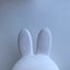 miffyponのサムネイル
