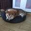 chiroのサムネイル