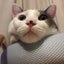 阿部のサムネイル