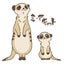 miakyattoのサムネイル