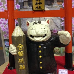 Shigeのプロフィール