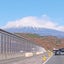 ゴジラ母ちゃんのサムネイル
