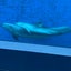 ななのサムネイル